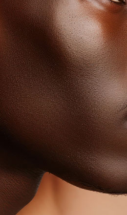 Image of dry flower representing the skin